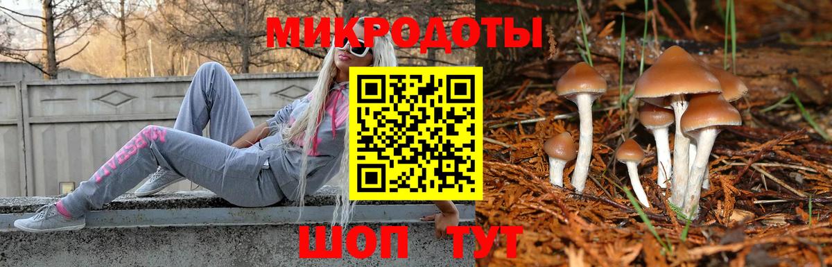 Псилоцибиновые грибы Magic Shrooms Коркино